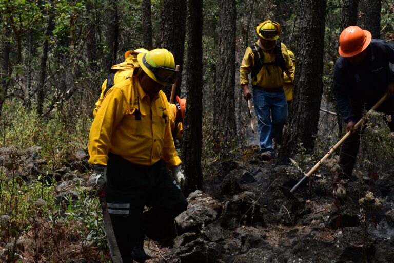 Estrategia estatal reduce 52% el daño por incendios forestales en Semana Santa