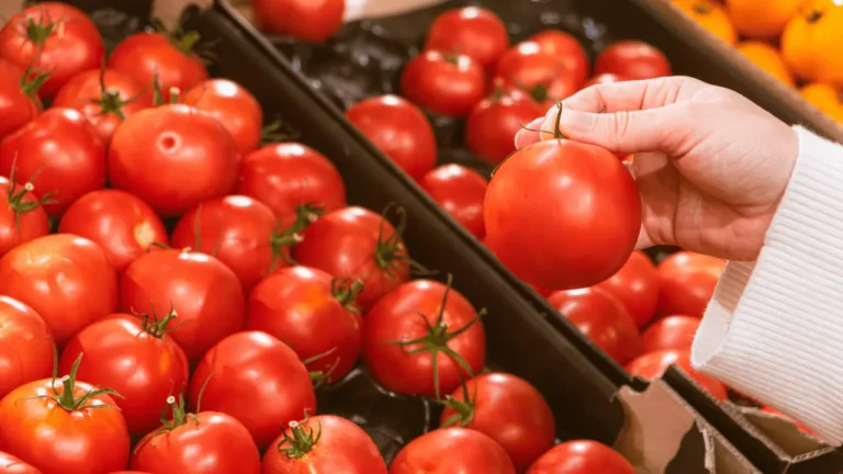 Nuevos aranceles,  20.91% a tomates mexicanos, anuncia Departamento de Comercio americano 