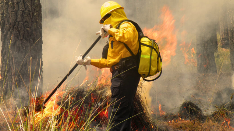Humo de incendios en Edomex causa tos, bronquitis y daño pulmonar severo