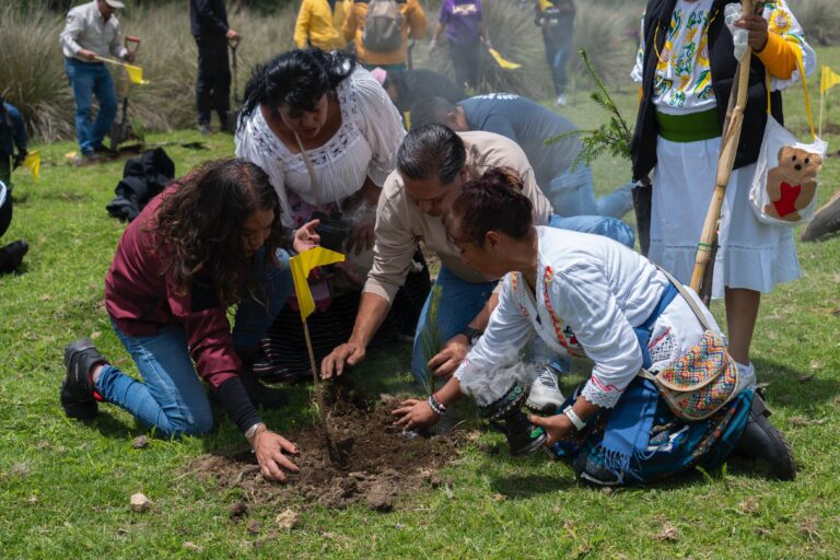 Toluca se pone verde y rompe récord con la siembra de árboles