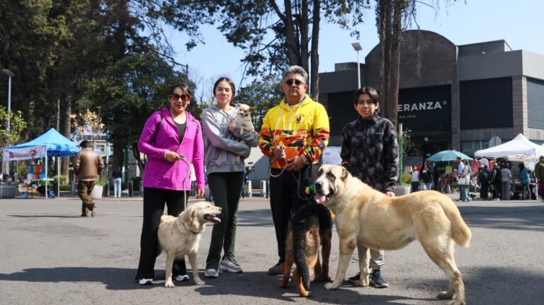 Toluca extiende paseo dominical hasta Ciudad Universitaria una vez al mes