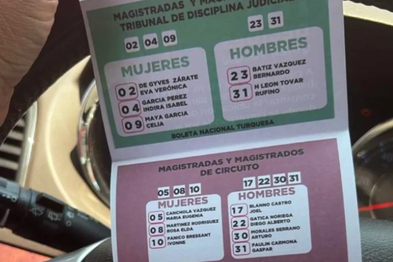 INE «da luz verde» a multas contra los candidatos que aparecieron en acordeones
