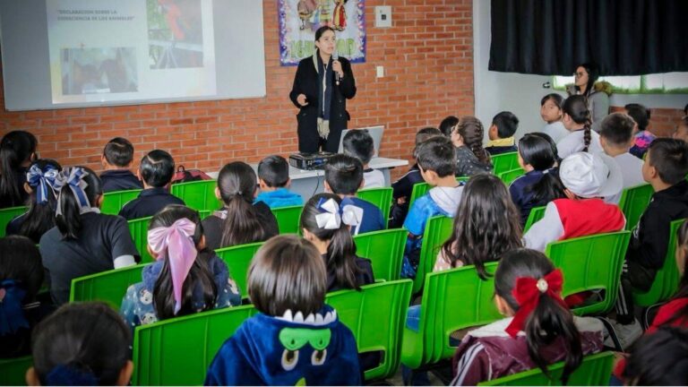 SAID Edomex 2025: opciones si tu hijo no quedó en su escuela preferida 
