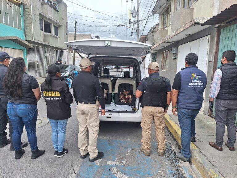 Rescatan a 36 perros en Metepec tras denuncia por maltrato en fraccionamiento
