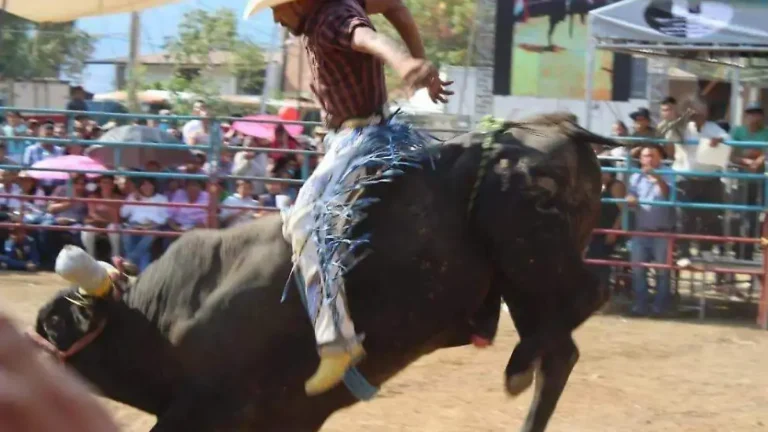 Buscan prohibir jaripeos y espectáculos con maltrato animal en la capital mexiquense