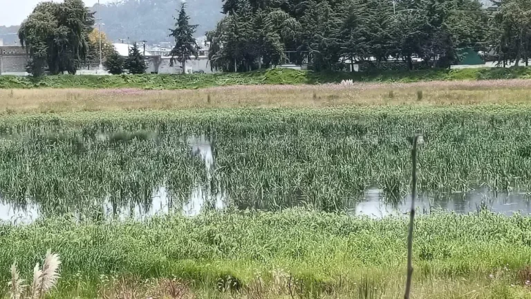 Laguna de Ojuelos resurge tras lluvias, pero sigue en abandono y riesgo