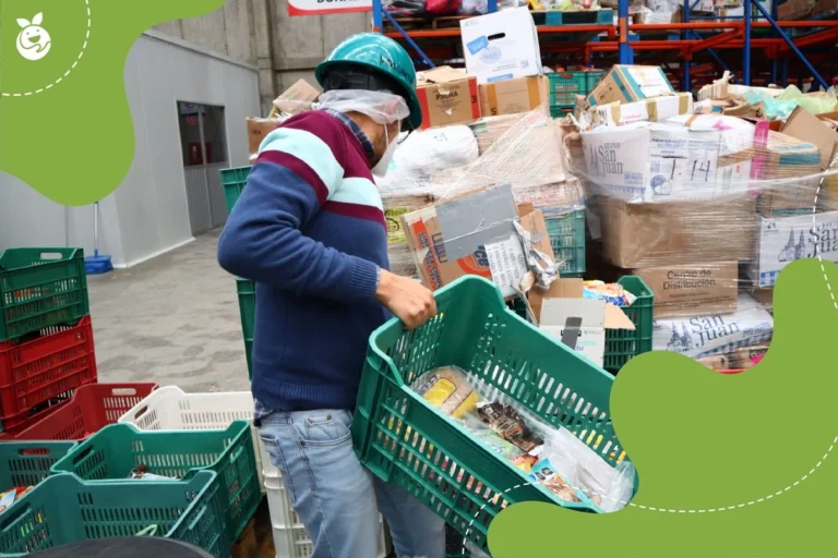 México, Campeón Latinoamericano en Desperdicio de Alimentos: 30 Millones de Toneladas a la Basura Anualmente