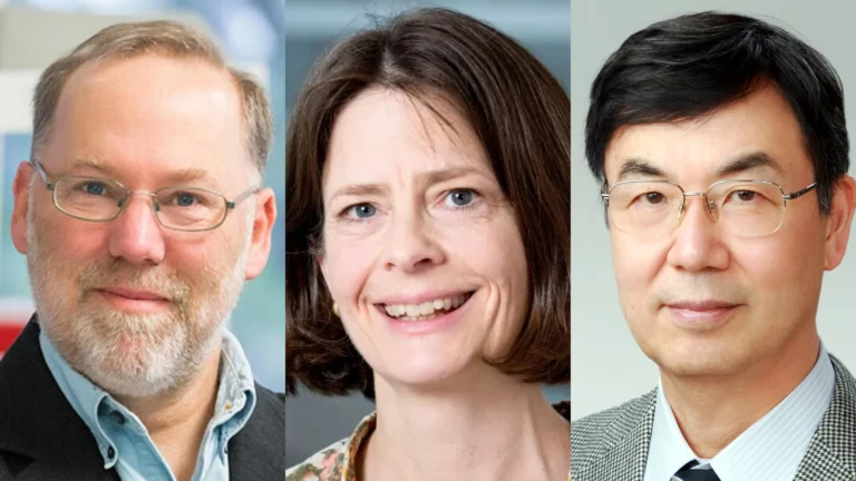 Descubrimiento que revoluciona la inmunología: científicos ganan el Nobel de Medicina 2025 por avances en la tolerancia inmunológica