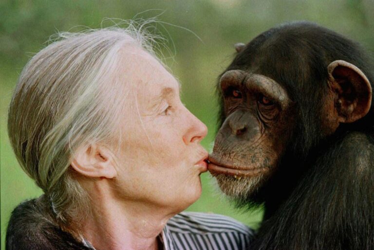 Fallece Jane Goodall a los 91 años en California, tras su última conferencia en México