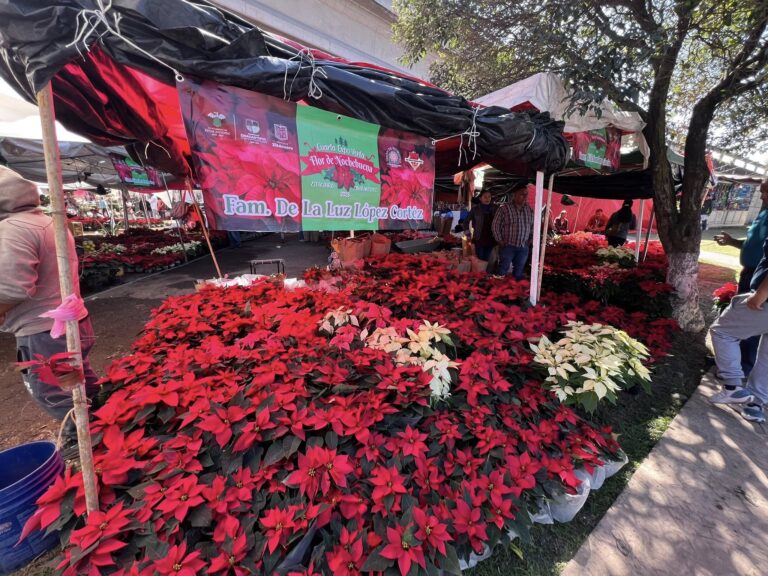 Expo de Nochebuena en Zinacantepec, abre la temporada navideña oficialmente