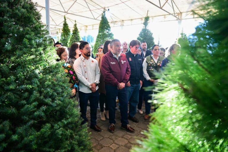 Expo Navidad Forestal 2025 ya abierta para adquirir árboles naturales y artesanías