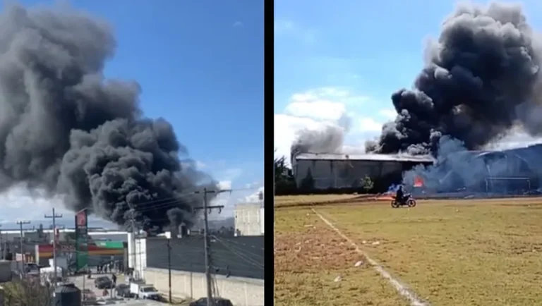 Accidente aéreo en Toluca: confirman siete muertos tras desplome de jet procedente de Acapulco
