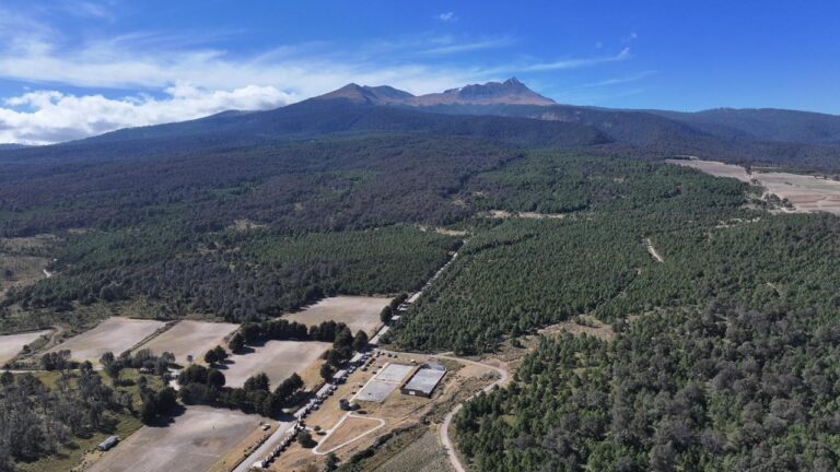 Refuerzan la protección forestal con acciones coordinadas ante temporada de incendios en Toluca