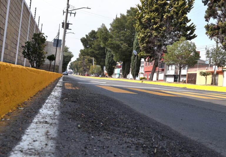 Toluca integra Atlas Digital de Arbolado; 54 mil árboles ya censados