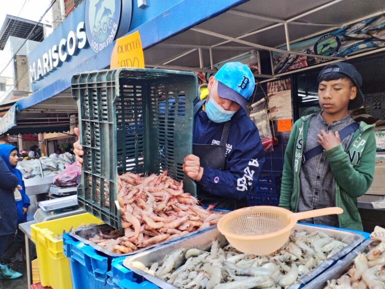 ¡Ojo con el pescado! Edoméx revisa mariscos y pescaderías durante la Cuaresma