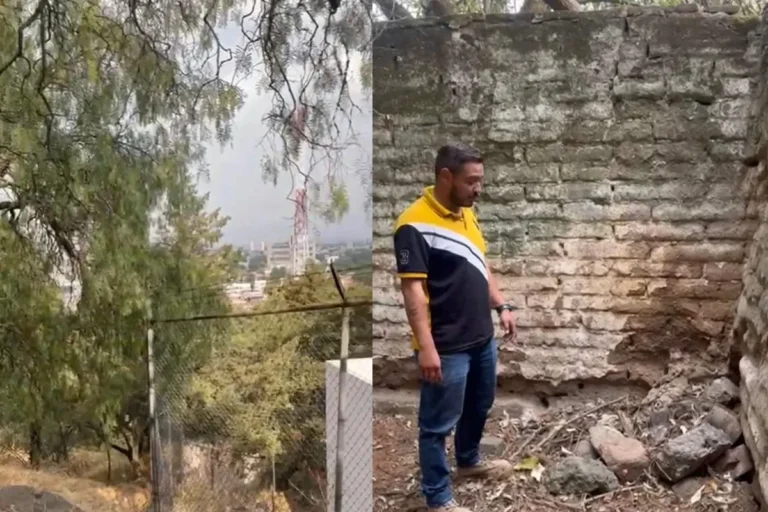 Investigan posible intoxicación de fauna en El Calvario de Toluca