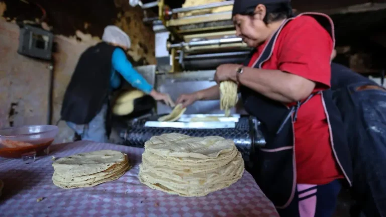 ¿Te pueden multar por repartir tortillas en moto en Edoméx?