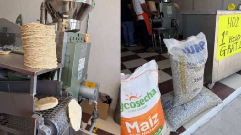 Blindaje al Consumo: El Estado Mexicano Asegura la Estabilidad del Precio de la Tortilla